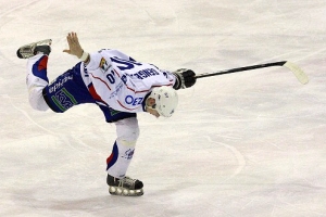 Gengel holubika