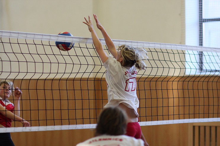 img00167.jpg